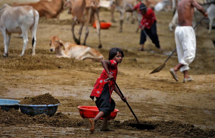 Una ragazza lava le mucche a Gaushala, India. REUTERS/Cathal McNaughton