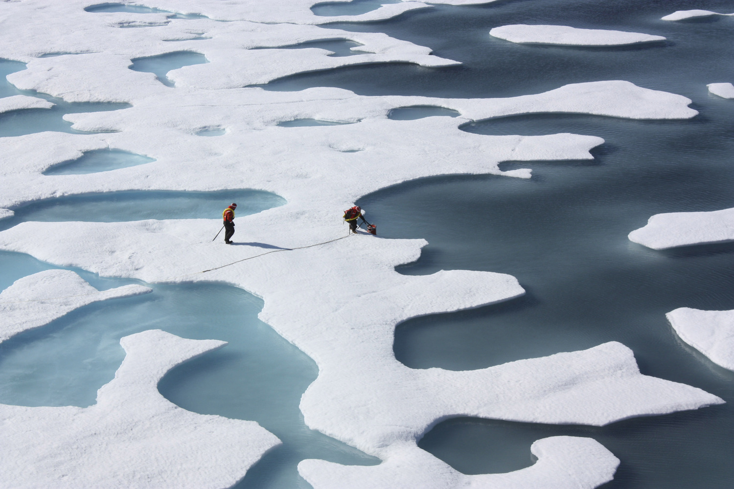 Oceano Artico, 12 luglio 2011. REUTERS/Kathryn Hansen/NASA