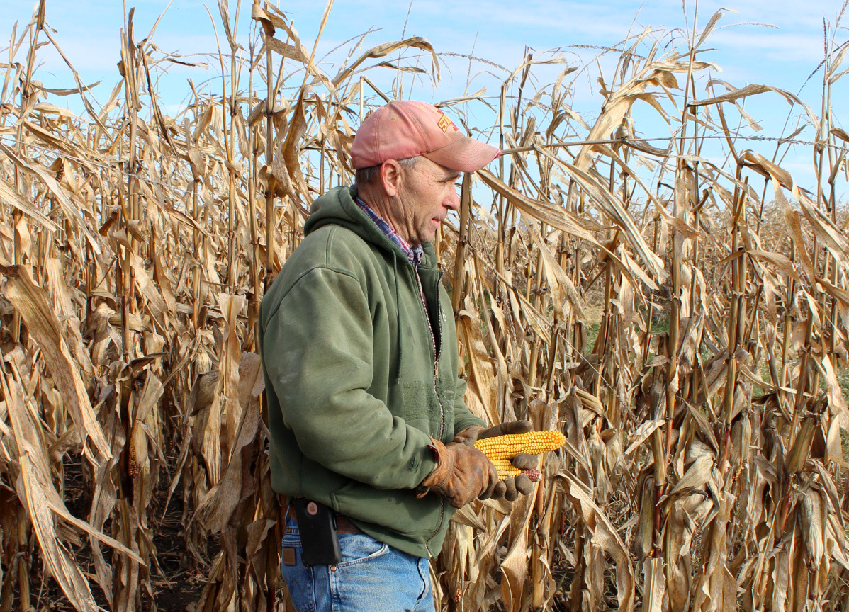 Il coltivatore di mais e soia Don Swanson si prepara a raccogliere il suo raccolto di mais mentre lui e altri agricoltori dell'Iowa soffrono per i dazi imposti dalla guerra commerciale tra Stati Uniti e Cina che continuano a influenzare le attività agricole a Eldon, Iowa, USA, ottobre 4, 2019. REUTERS/Kia Johnson