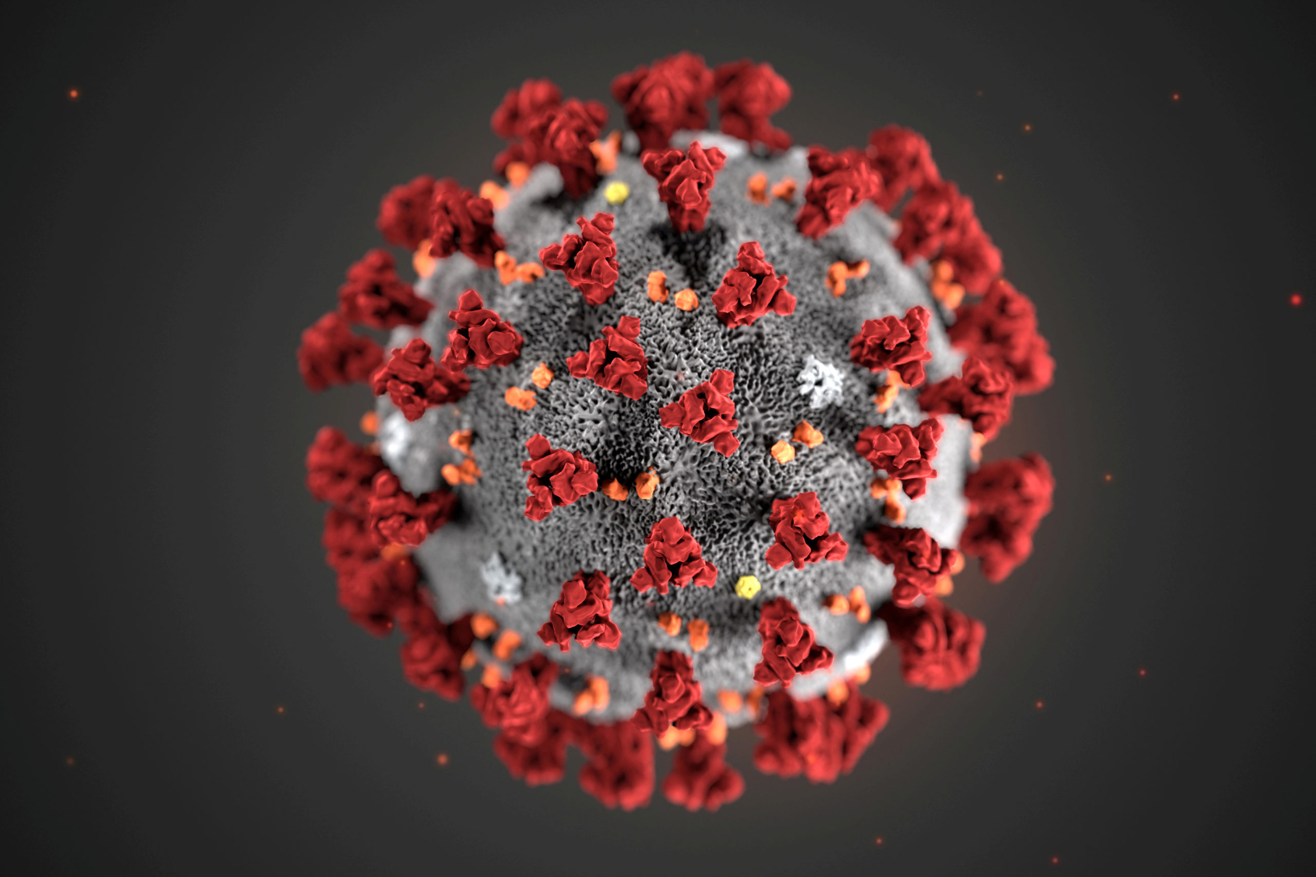 Coronavirus, news dal mondo: la mappa dell'emergenza