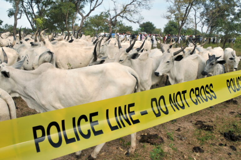 Nigeria: rapimenti e contrabbando di bestiame provocano la diffusione di armi